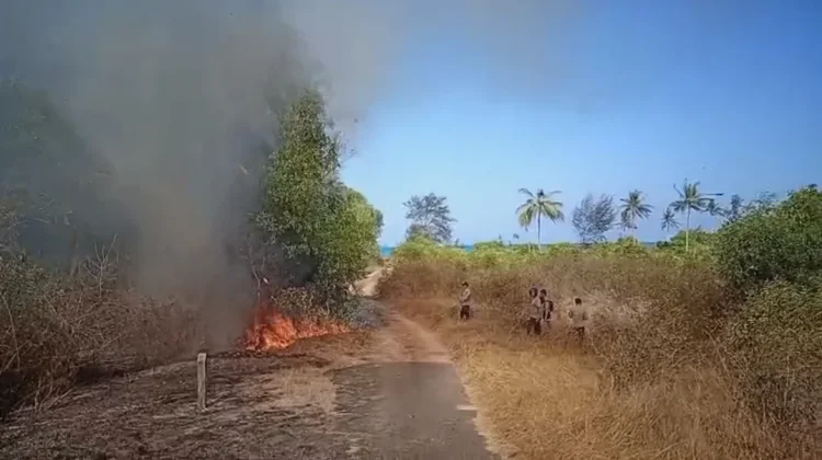 Kebakaran Lahan Penarik Hanguskan 10 Hektare