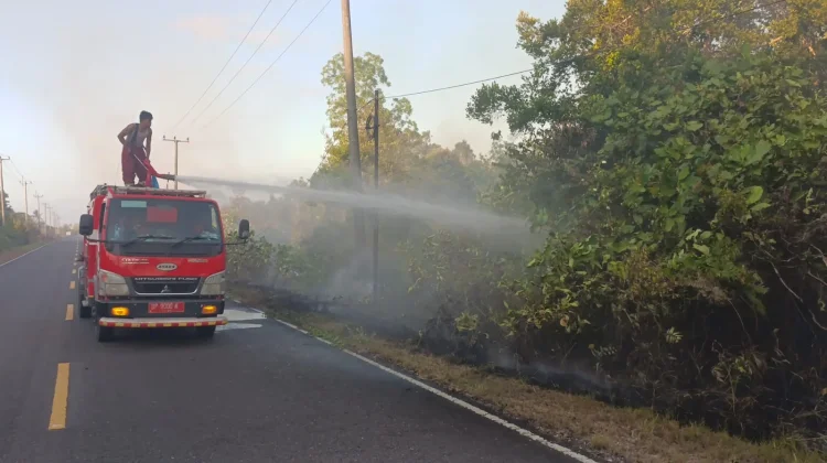 Kebakaran Lahan Pian Padang Hanguskan Empat Hektare