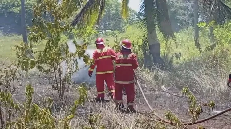 Kebakaran Lahan Tanjung Saguk Hanguskan Tiga Hektare