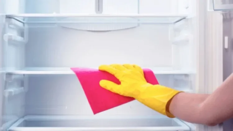 Tips Membersihkan Kulkas yang Benar agar Makanan Tetap Aman