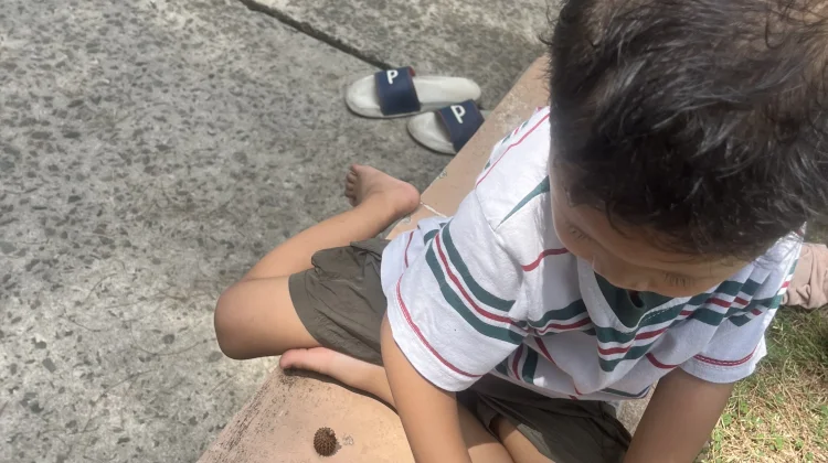 Pahami Kecerdasan Anak dan Cara Mengasahnya