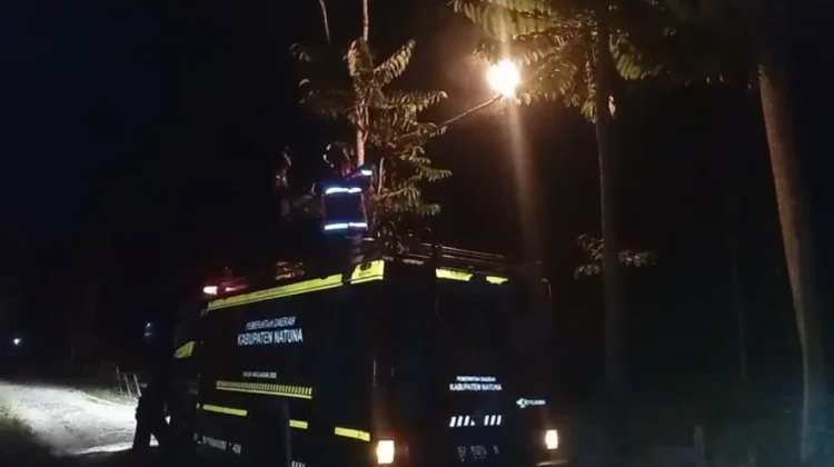 Damkar Natuna Evakuasi Sarang Tawon Air Tayan