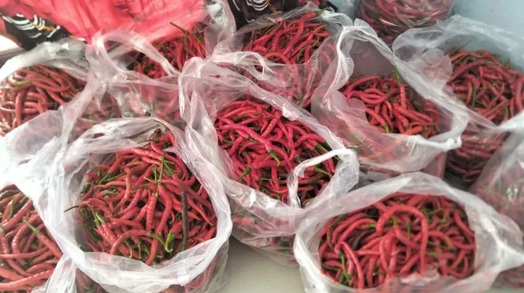 Cabe Merah Panjang Turun Drastis hingga Rp27 Ribu per Kilogram