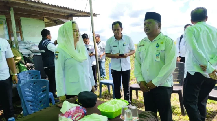 Pemkab Natuna Salurkan Bantuan untuk Petani Nanas Terdampak Kebakaran