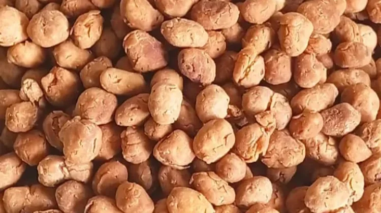 Kacang batu menjadi salah satu camilan tradisional