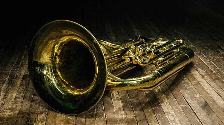 Mengenal Sejarah Hari Tuba Internasional
