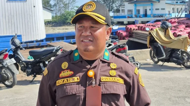 SP Natuna BKHIT Prov. Kepri Awai Sapi Qurban Bantuan Presiden