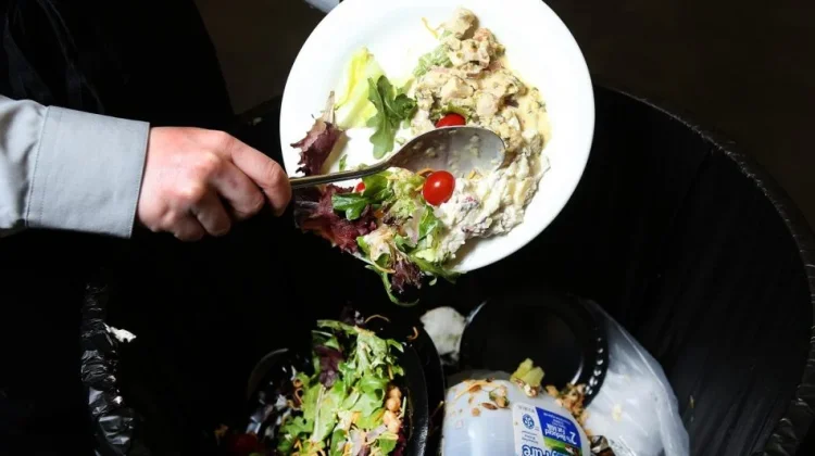 Langkah Bijak Konsumsi Pangan untuk Kurangi Pemborosan Makanan