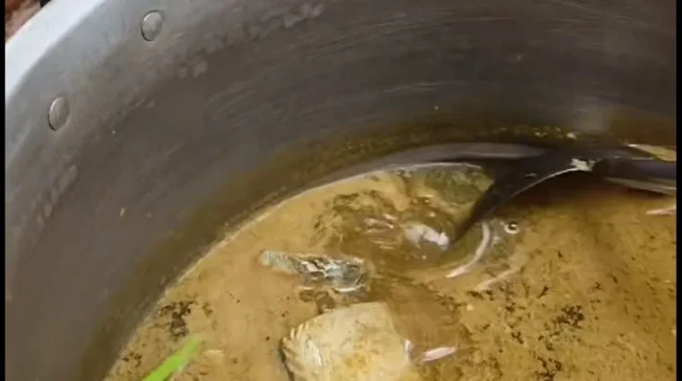 Pindang Ikan Khas Natuna