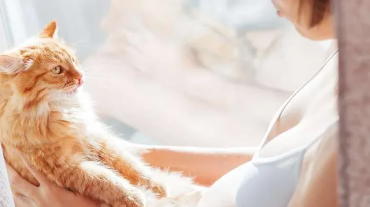 Bahaya Bulu Kucing Bagi Kesehatan Wanita Hamil