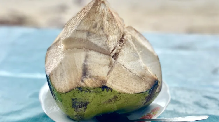 Tips Menyimpan Air Kelapa di Kulkas agar Tahan Lama