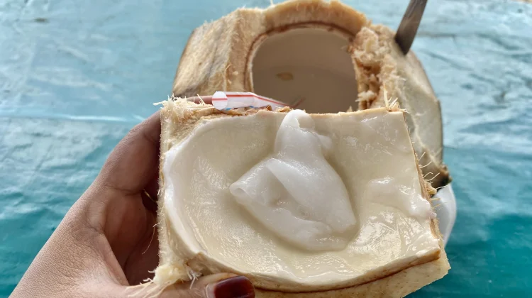 Kenali Tanda Air Kelapa Sudah Basi dan Tidak Layak Minum