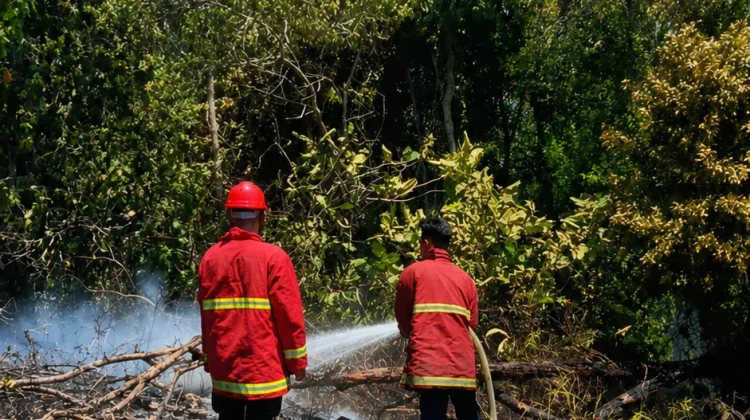 Damkar Natuna Padamkan Kebakaran Lahan di Bandarsyah
