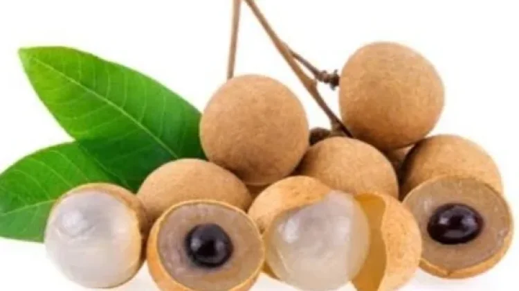 Manfaat Buah Lengkeng untuk Kesehatan Tubuh