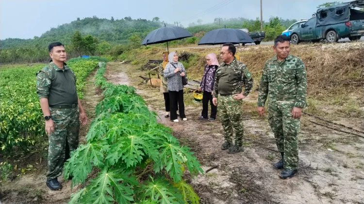 Pangkogabwilhan I dan Ibu Ketua IKKT Tanam Semangat Ketahanan Pangan di Natuna