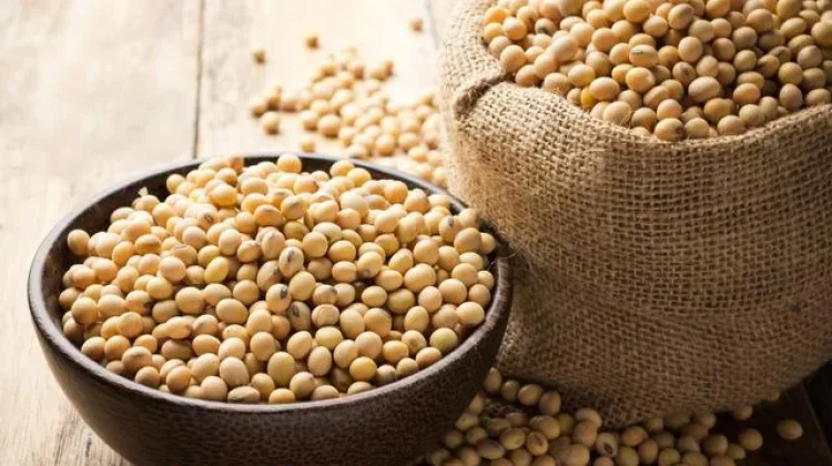 Kedelai Kaya Protein Nabati, Tempe Dinilai Paling Sehat