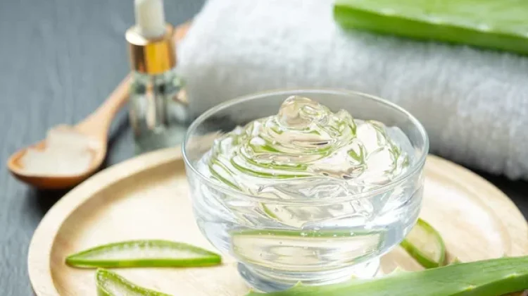 Manfaat Lidah Buaya untuk Kesehatan Kulit dan Rambut