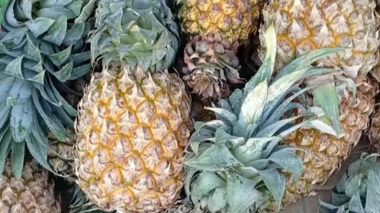 Fakta Menarik tentang Buah Nanas