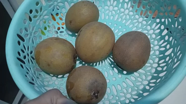 Manfaat Buah Sawo untuk Kesehatan Wanita