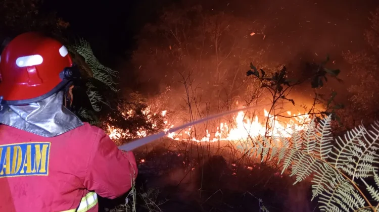 Damkar Natuna Padamkan Kebakaran Lahan di Sujung