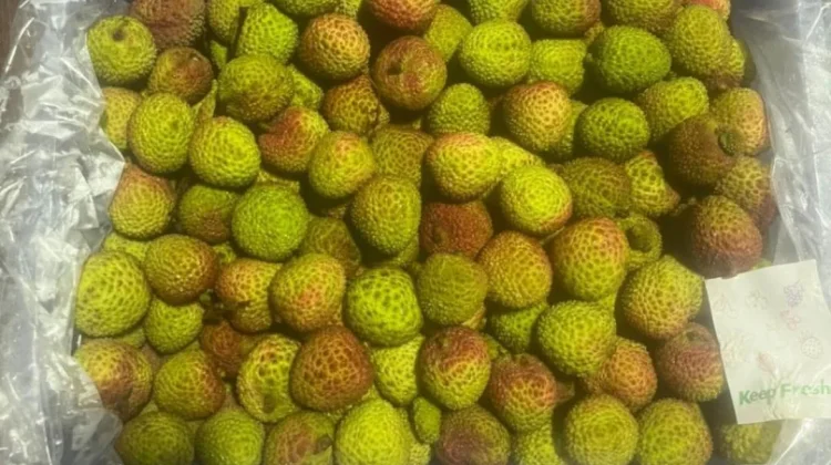 Kaya Antioksidan, Ini Ragam Manfaat Buah Leci untuk Kesehatan
