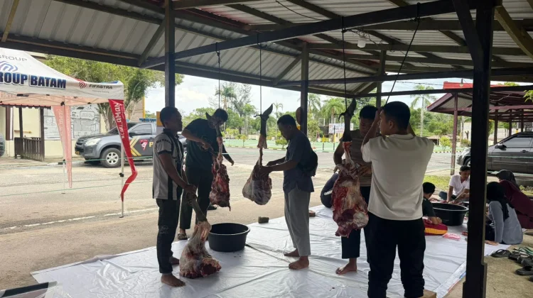 Polres Natuna Sembelih 4 Ekor Sapi Kurban