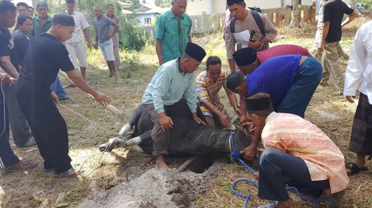 Mesjid Al Kautsar Sepempang Distribusikan Daging Qurban di Lima RT