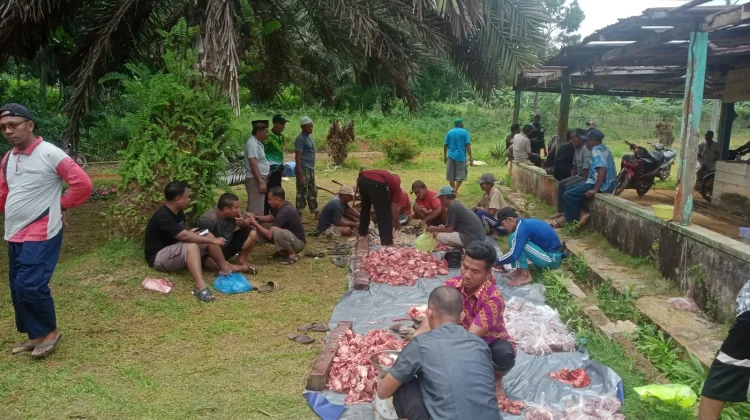 Masjid Nurul Huda Sembelih Tiga Ekor Sapi Qurban