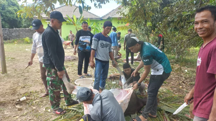 Sebanyak 74 Sohibul Qurban HKS Sembelih 12 Sapi
