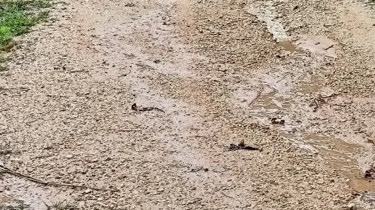 Masih Perlunya Sentuhan Perbaikan Jalan