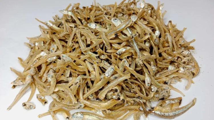 Protein Tinggi Ikan Teri Membantu Menurunkan Berat Badan