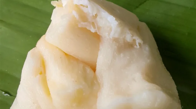 Tapai  Lezat dan Kaya Manfaat untuk Kesehatan