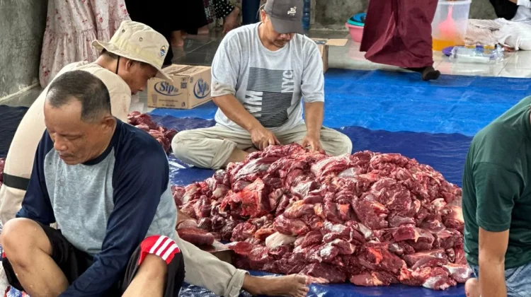 Jumlah Qurban IWKN Menurun Tahun Ini