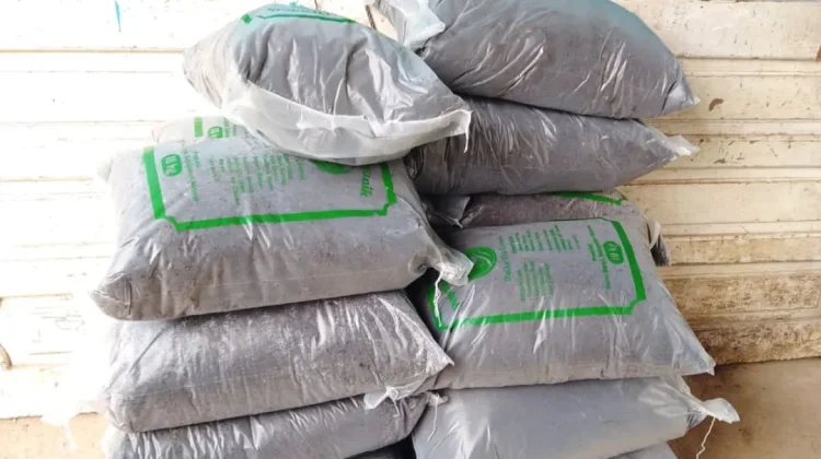 Petani Cengkeh Pesan 200 Kilogram Pupuk Kompos