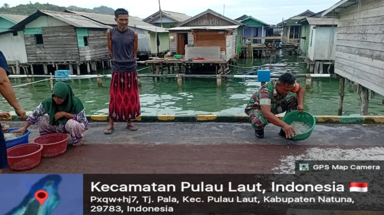 Babinsa Bantu Warga Jemur Ikan Teri