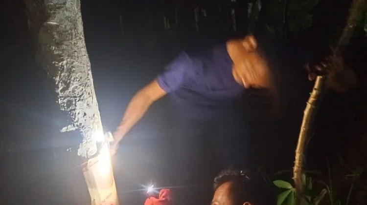 Damkar Natuna Basmi Sarang Tawon di Ranai Darat