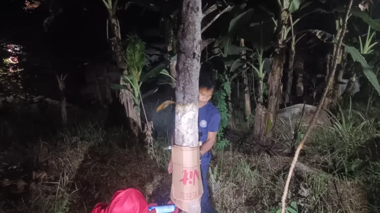Damkar Natuna Basmi Sarang Tawon di Ranai Darat