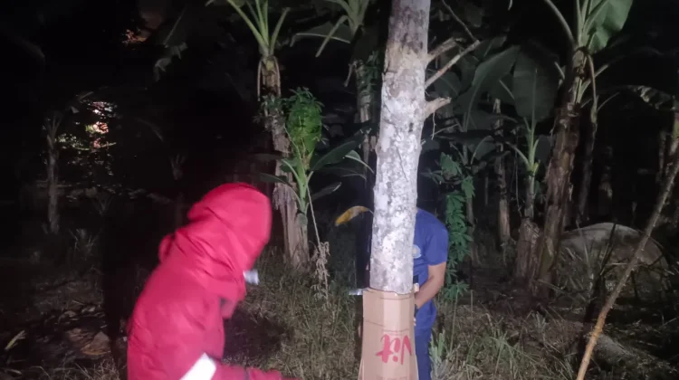 Damkar Natuna Tingkatkan Pelayanan Penanganan Non Kebakaran