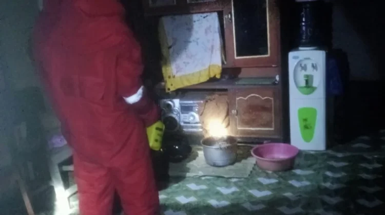 Damkar Natuna Evakuasi Sarang Tawon di SP 2 Tapau