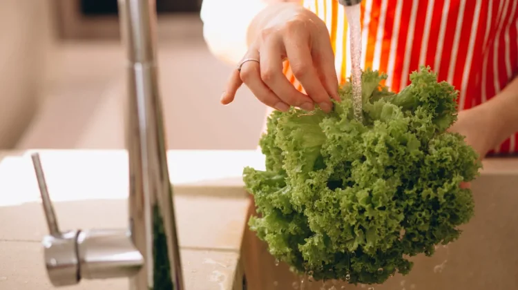 Jangan Asal Cuci Bahan Makanan, Kenali Mana yang Aman dan Berisiko Dicuci