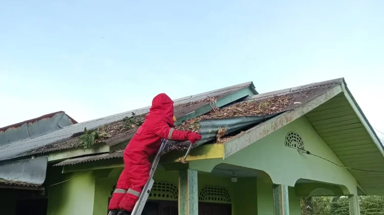 Damkar Natuna Evakuasi Sarang Lebah di Gang Tok Junet