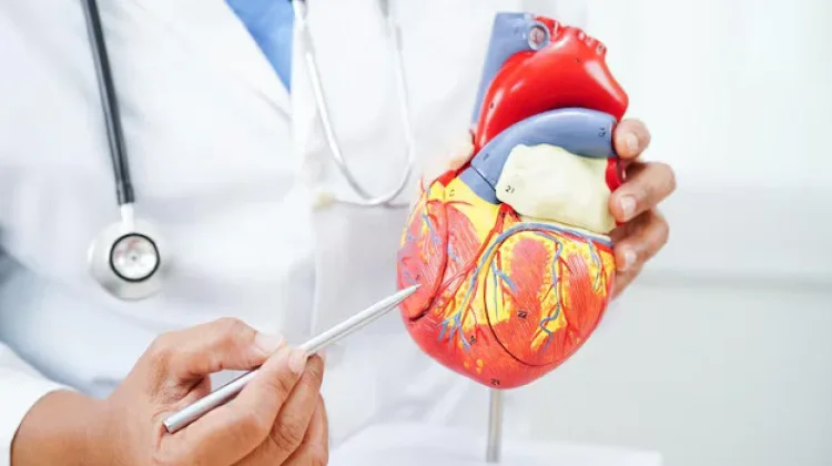 Pilihan Makanan Bernutrisi untuk Kesehatan Jantung