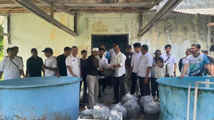 Dinas Perikanan Salurkan 7.000 Benih Ikan ke Kelompok Pembudidaya