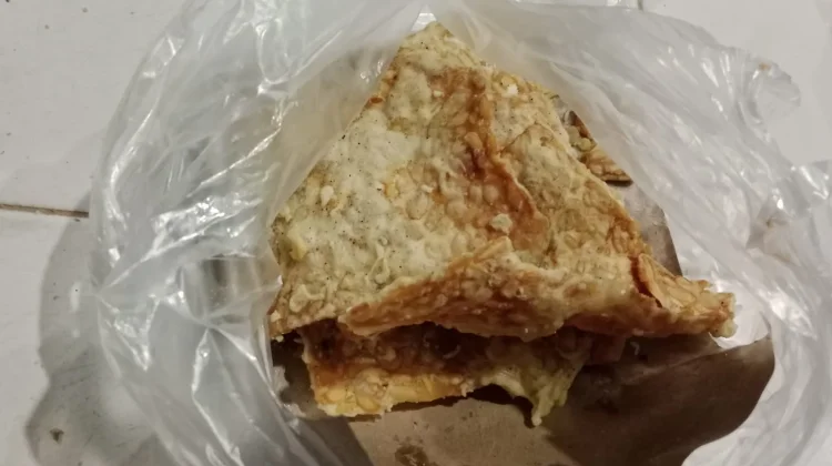 Bahaya Makan Gorengan Berlebihan untuk Ibu Hamil
