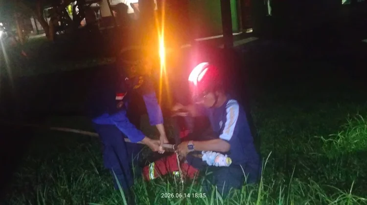 Damkar Natuna Evakuasi Sarang Tawon di Rumah Warga