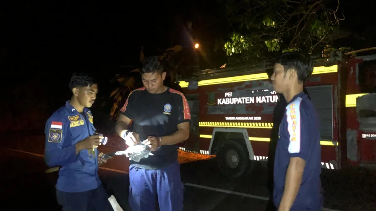 Damkar Natuna Evakuasi Sarang Tawon di Ranai Darat
