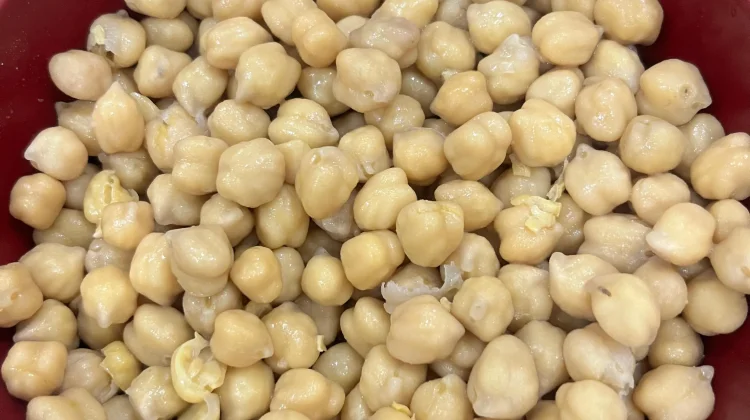 Kacang Kuda dan Khasiatnya