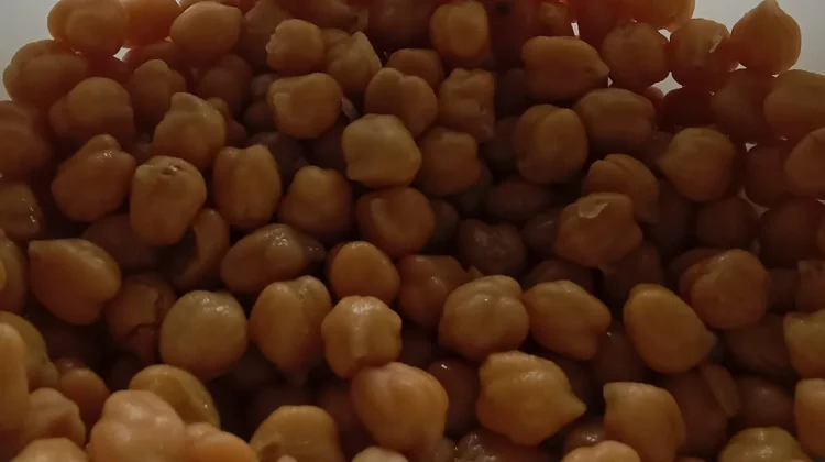 Kacang Kuda yang Kaya Nutrisi