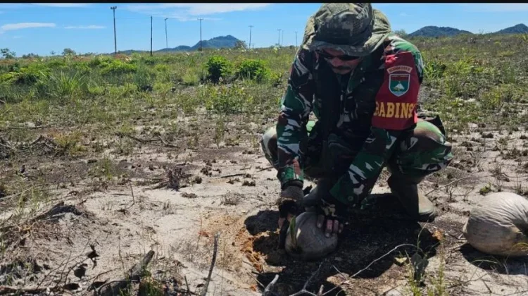 Dorong Pemanfaatan Lahan Produktif, Babinsa Serasan Bantu Warga Tanam Kelapa