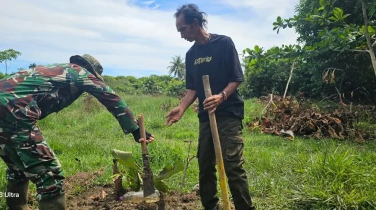 Babinsa Serasan Timur Dukung Warga Kembangkan Pertanian Pala